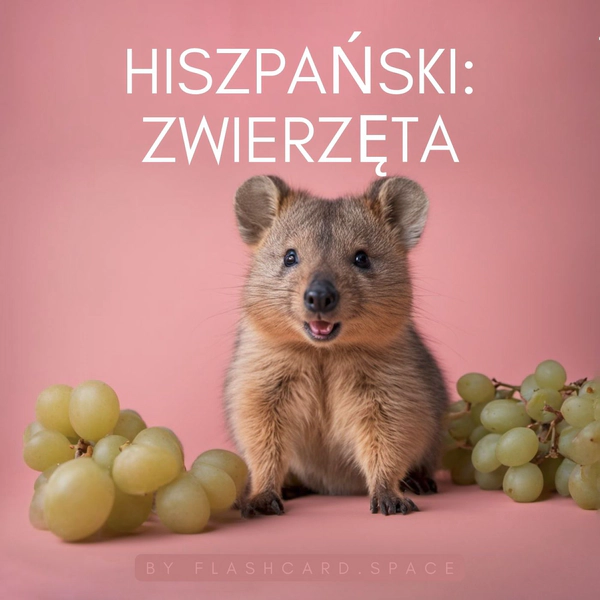 Hiszpański: zwierzęta Hiszpański: zwierzęta