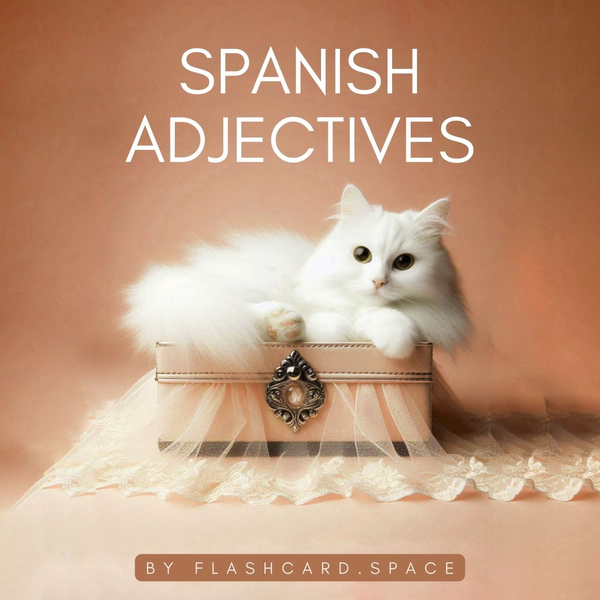 Spanish: Adjectives