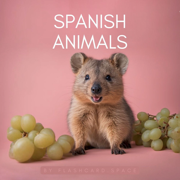 Spanish: Animals