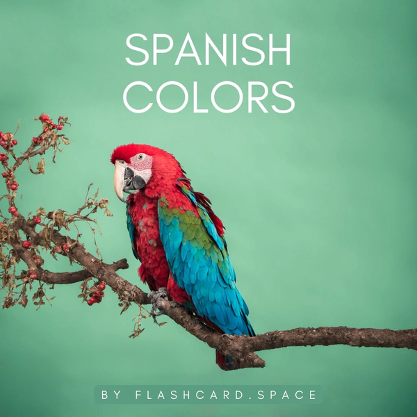 Spanish: Colors